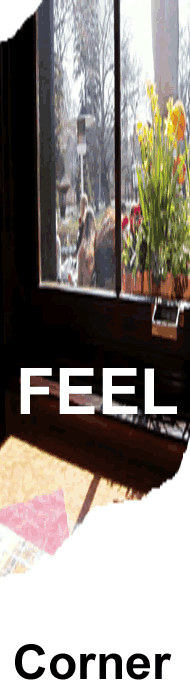 Feeling, Thoughts, Contact, Whatever